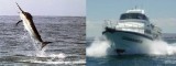 FishingInfo.co.za - Your Home Of Fishing Information