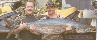 35.4 kg Couta