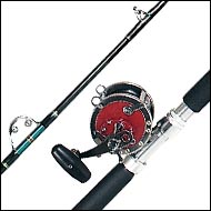 FishingInfo.co.za - Game fish Rod & Reel