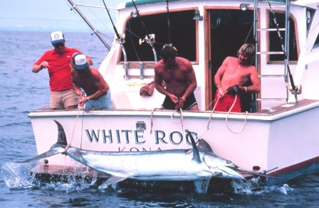 Guided Fishing - Charter caught a Marlin