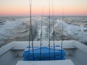 Guided Fishing